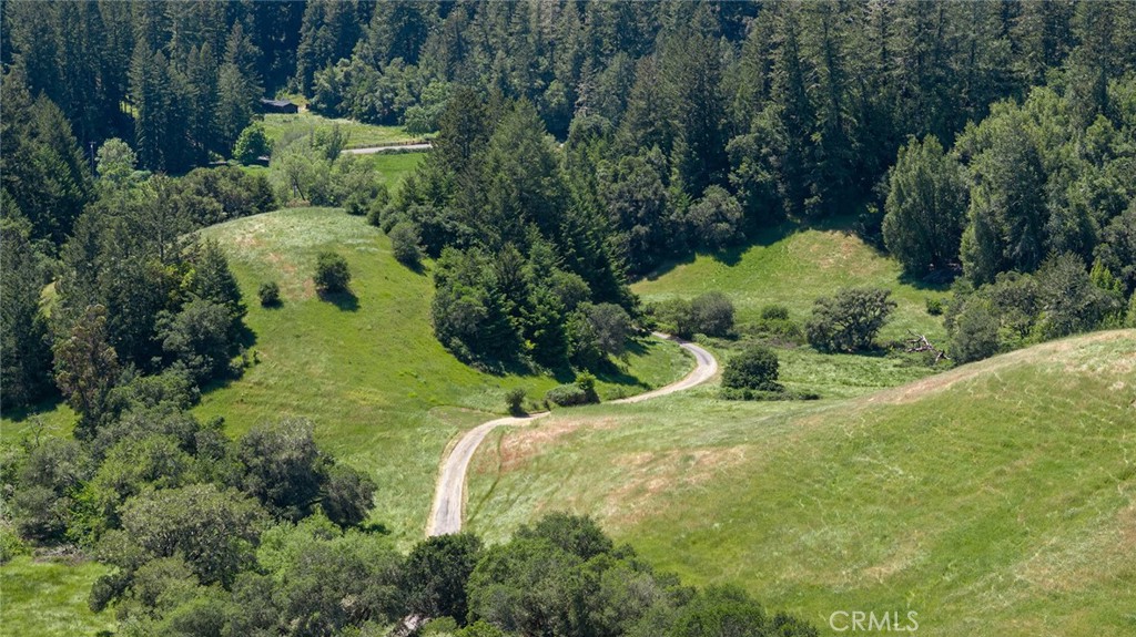 12760 Green Valley Road Sebastopol, CA 95472 - Photo 26 of 35 a view of a garden with plants