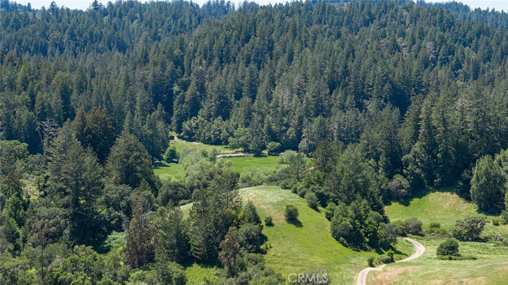 12760 Green Valley Road Sebastopol, CA 95472 - Photo 27 of 35 a view of a forest with a street