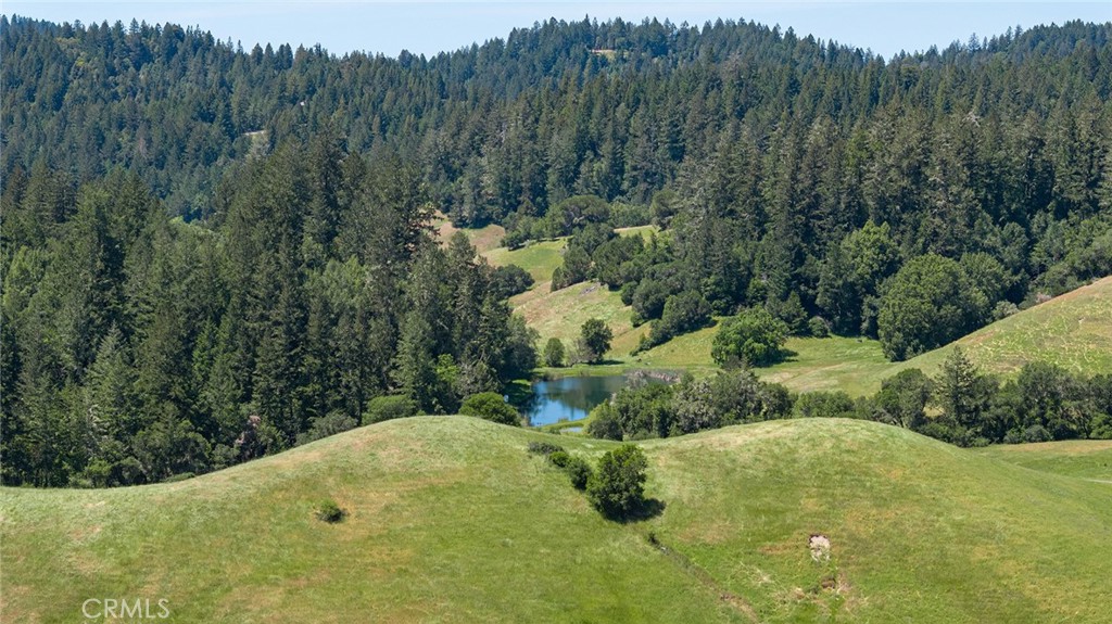 12760 Green Valley Road Sebastopol, CA 95472 - Photo 28 of 35 a view of a swimming pool