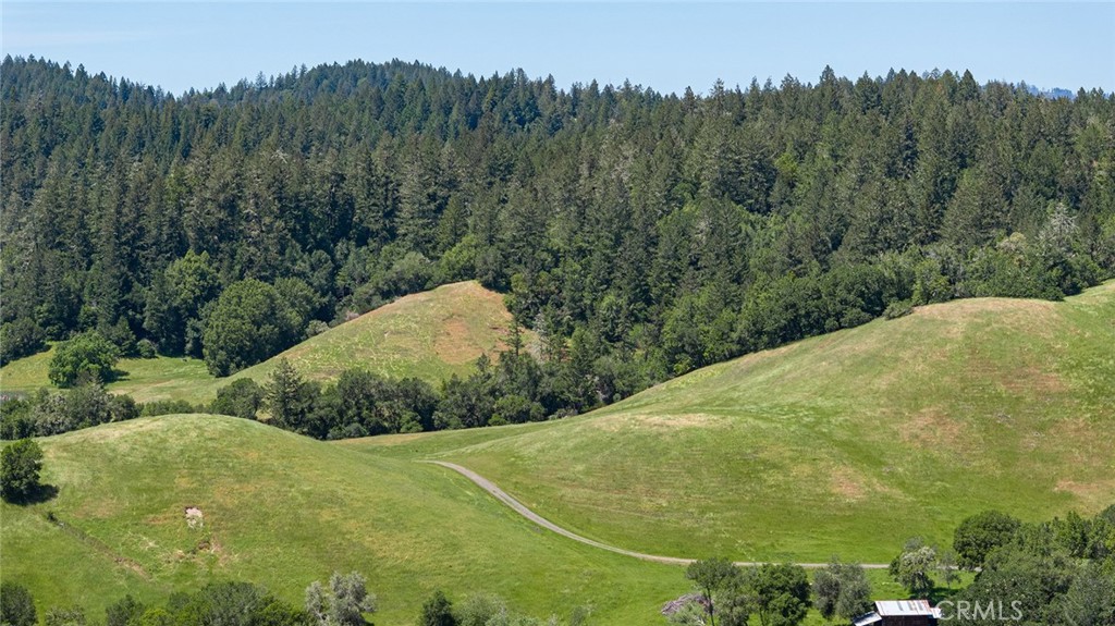 12760 Green Valley Road Sebastopol, CA 95472 - Photo 29 of 35 a view of a field with a tree in the background