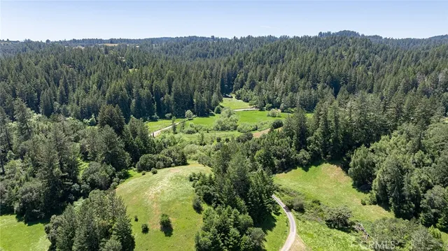 a view of a lush green hillside and a houses