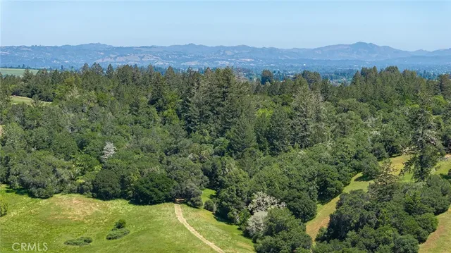 a view of a garden with plants