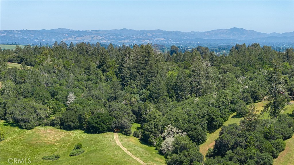 12760 Green Valley Road Sebastopol, CA 95472 - Photo 32 of 35 a view of a lush green hillside and a houses