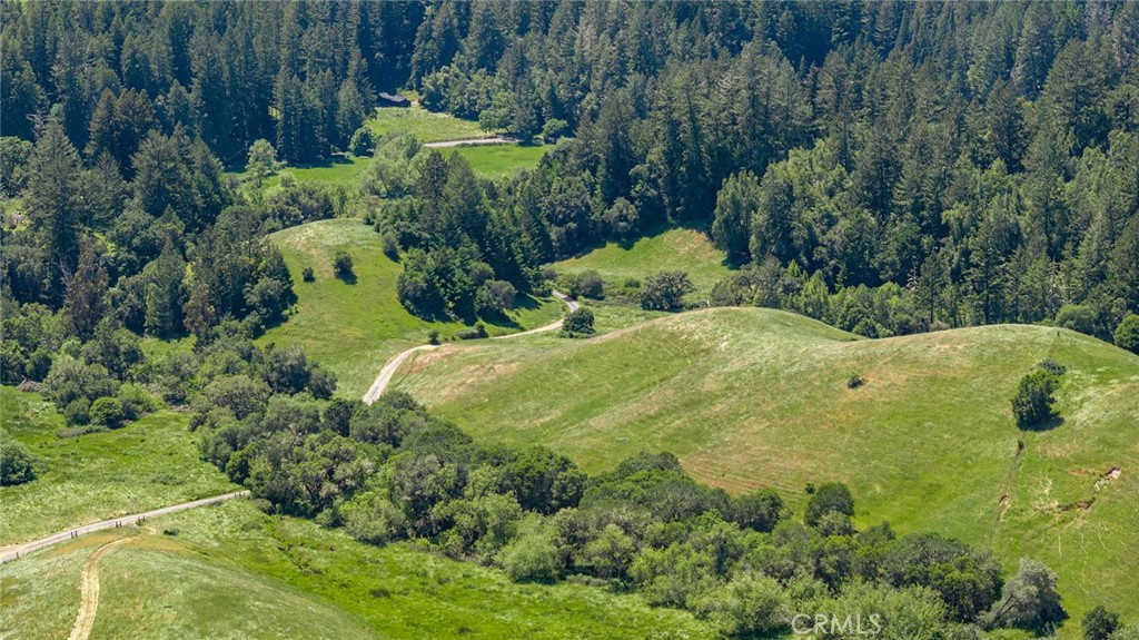 12760 Green Valley Road Sebastopol, CA 95472 - Photo 34 of 35 a view of a garden with plants