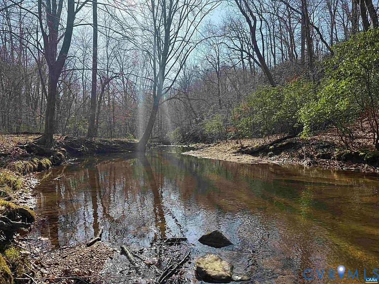 0 Paynes Pond Road Scottsville, VA 24590 - Photo 3 of 44