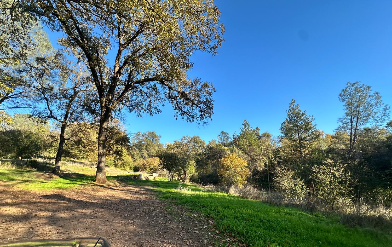 7317 La Porte Road Rackerby, CA 95972 - Photo 11 of 20 a view of a park with large trees