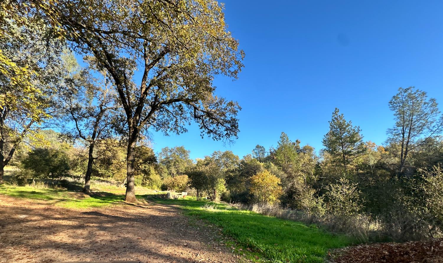 7317 La Porte Road Rackerby, CA 95972 - Photo 12 of 20