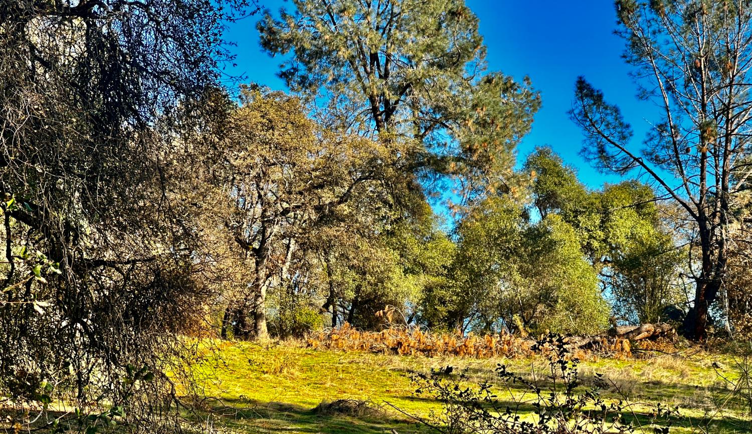 7317 La Porte Road Rackerby, CA 95972 - Photo 16 of 20 a view of swimming pool of the house