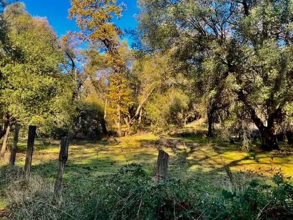 a view of a yard with wooden fence