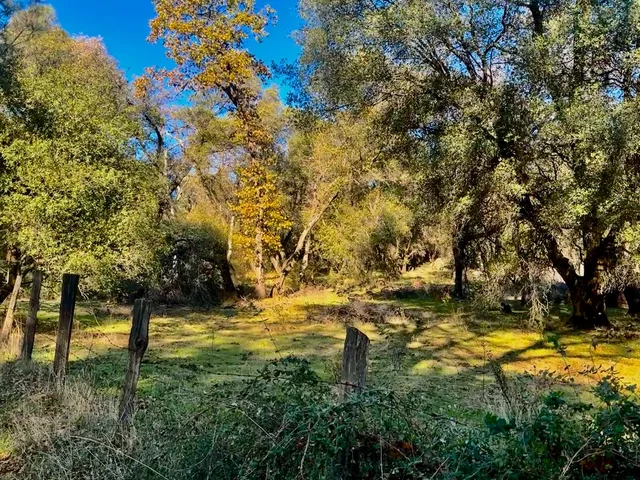 a view of a yard with wooden fence