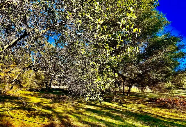 $255,000 | 7317 La Porte Road, Rackerby, CA 95972