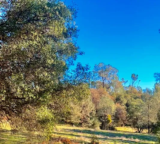 $255,000 | 7317 La Porte Road, Rackerby, CA 95972