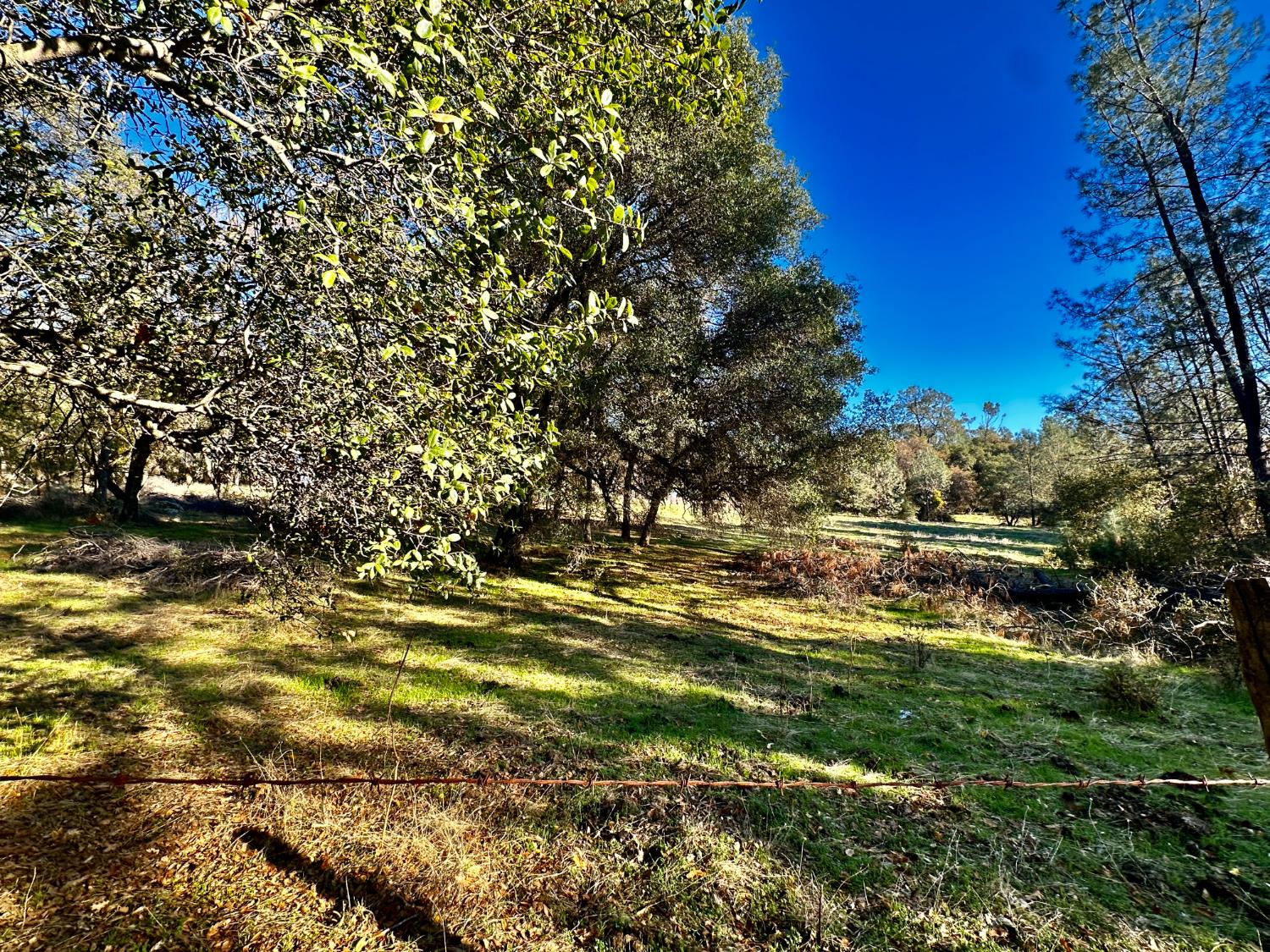 7317 La Porte Road Rackerby, CA 95972 - Photo 20 of 20 a view of a yard with wooden fence