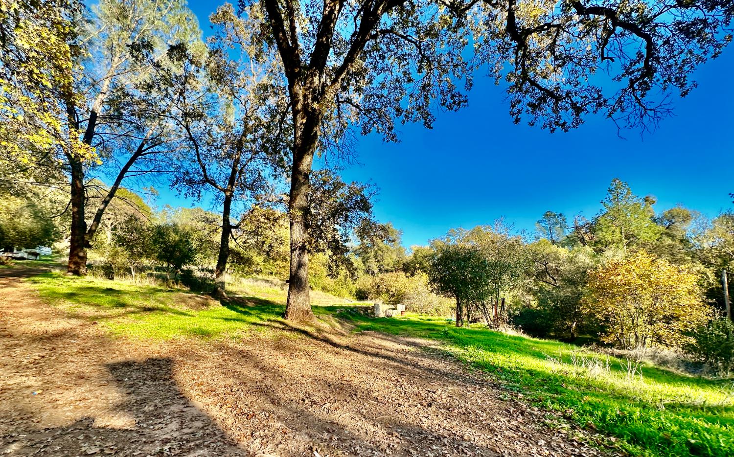 7317 La Porte Road Rackerby, CA 95972 - Photo 2 of 20 a view of a yard with swimming pool