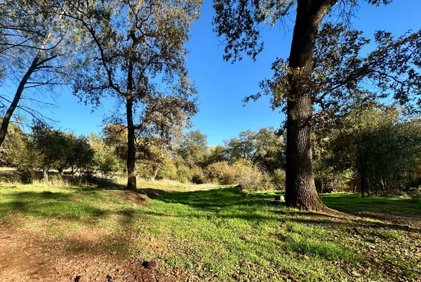 a view of backyard with green space