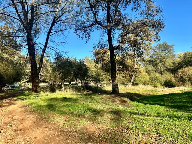 a view of swimming pool with yard and green space