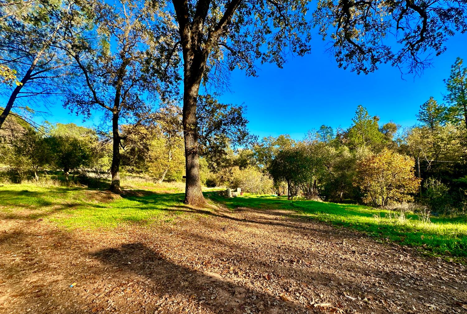 7317 La Porte Road Rackerby, CA 95972 - Photo 9 of 20 a view of a park