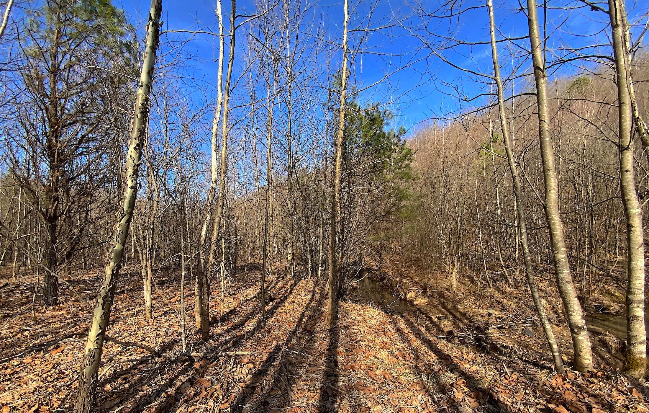 0 Kelly Road Ray, OH 45672 - Photo 27 of 46 Vinton County Kelly Rd 26