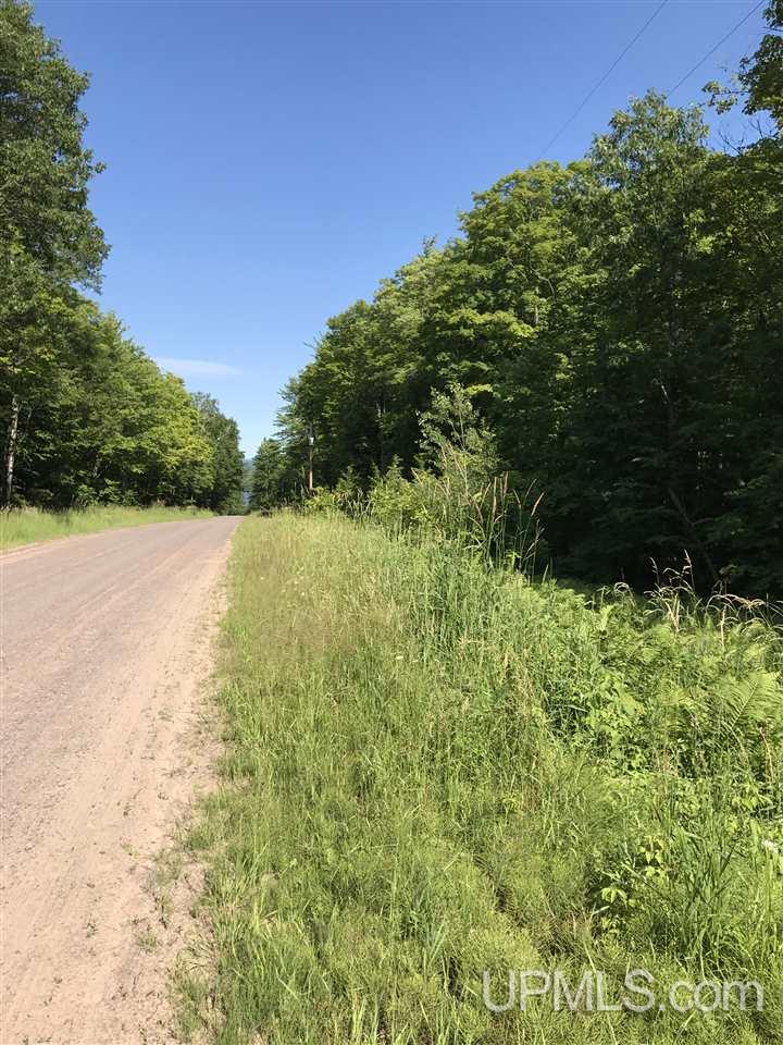 Tbd Aldrich Road Chassell, MI 49916 - Photo 2 of 16 Gallery Image 2