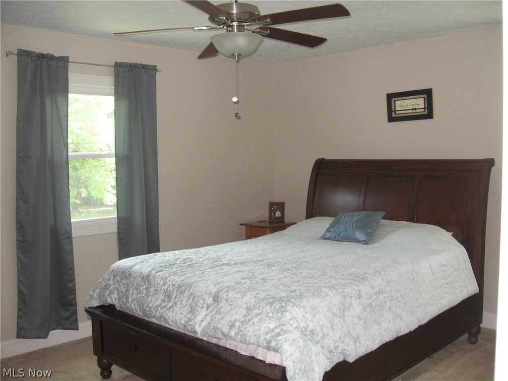 4214 Manchester Road Perry, OH 44081 - Photo 14 of 22
