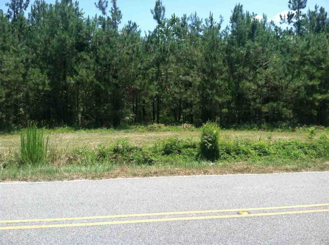 Tr1 South Persimmon Ford Road Johnsonville, SC 29555 - Photo 1 of 2 Gallery Image 1