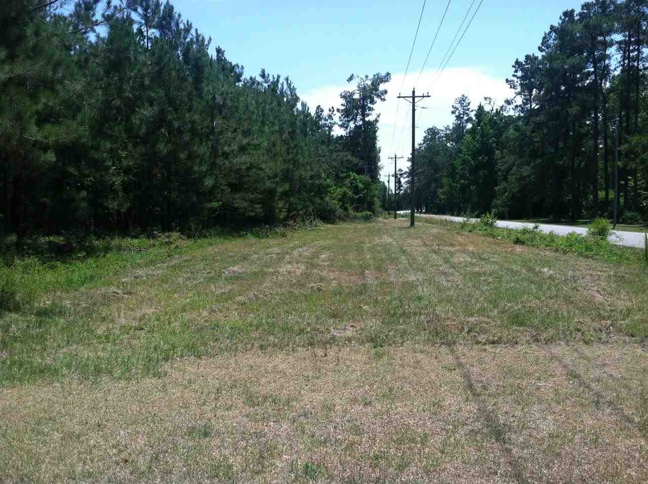 Tr1 South Persimmon Ford Road Johnsonville, SC 29555 - Photo 2 of 2 Gallery Image 2