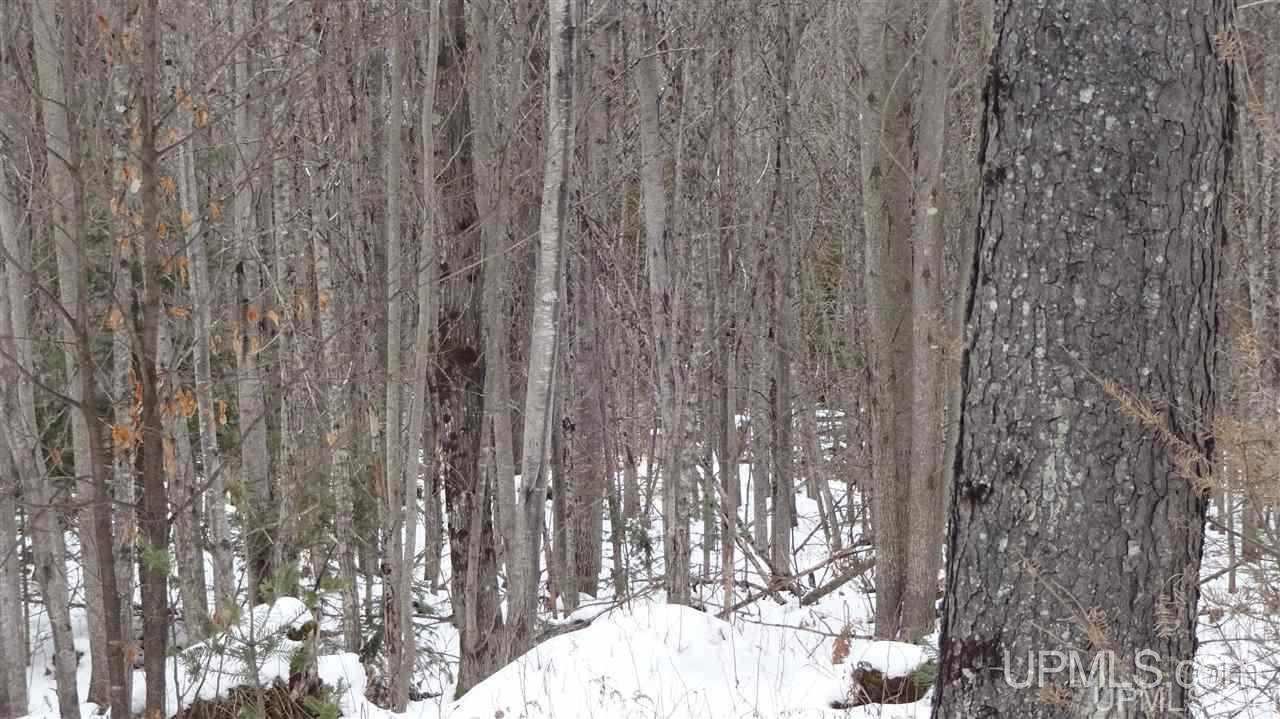 Tbd Winters/savola Road Trenary, MI 49891 - Photo 12 of 19