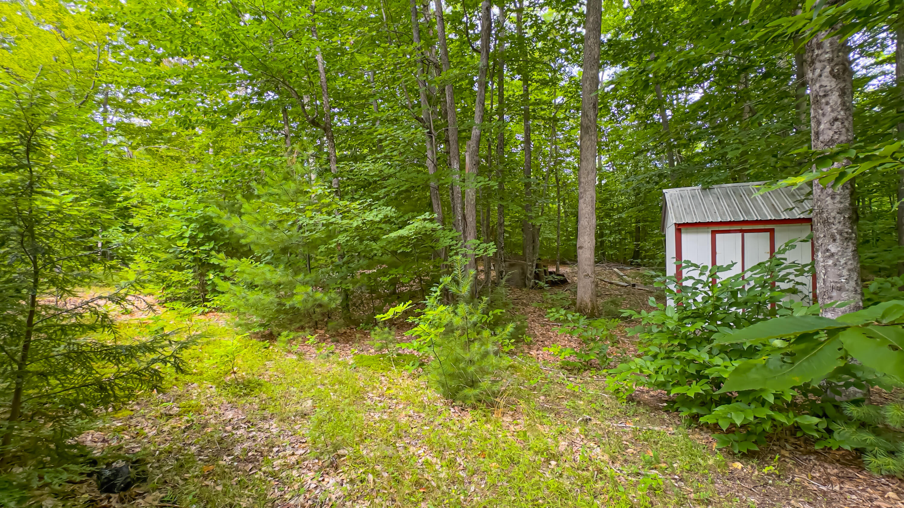 32 No Name Road Naples, ME 04055 - Photo 12 of 60 32 No Name Road-9