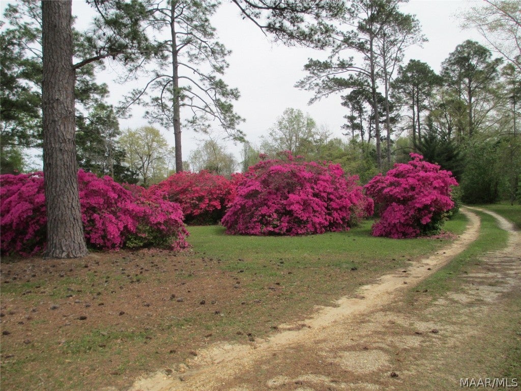 4583 Memphis Church Road Dothan, AL 36301 - Photo 20 of 24 Gallery Image 20