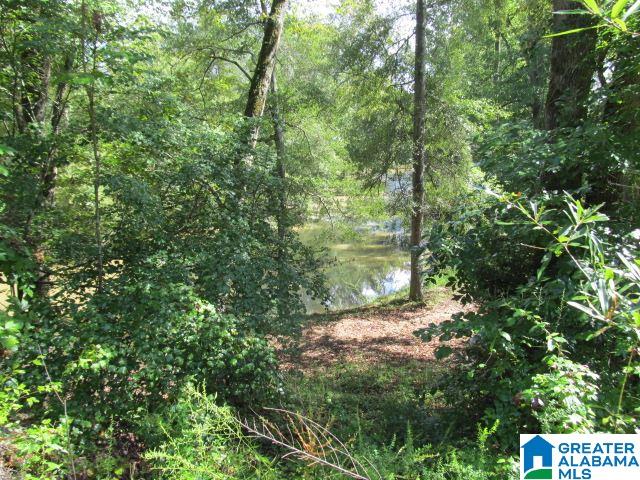 79 Highway 79, Unit 33 Cleveland, AL 35049 - Photo 20 of 32