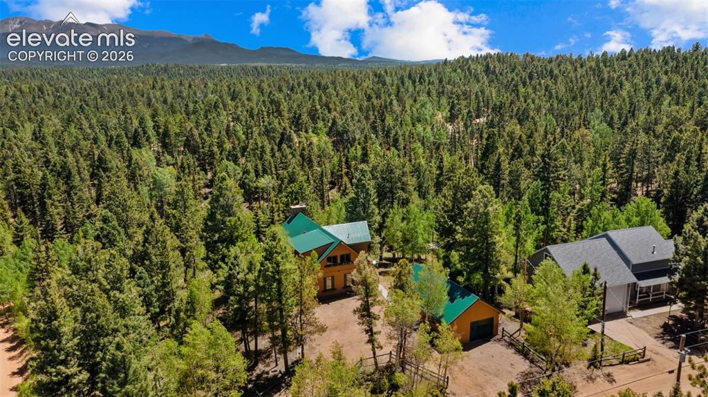 506 Ridge Road Divide, CO 80814 - Photo 48 of 50