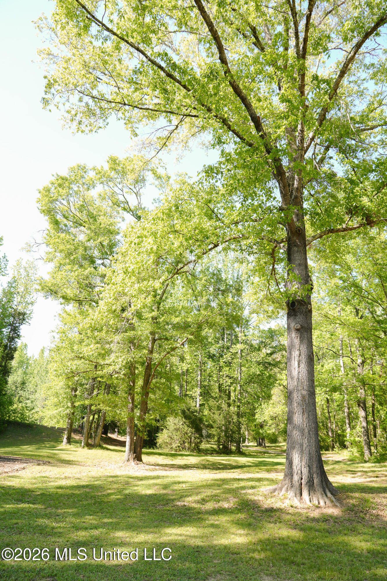 3295 Sand Hill Road Lexington, MS 39095 - Photo 47 of 70 37.