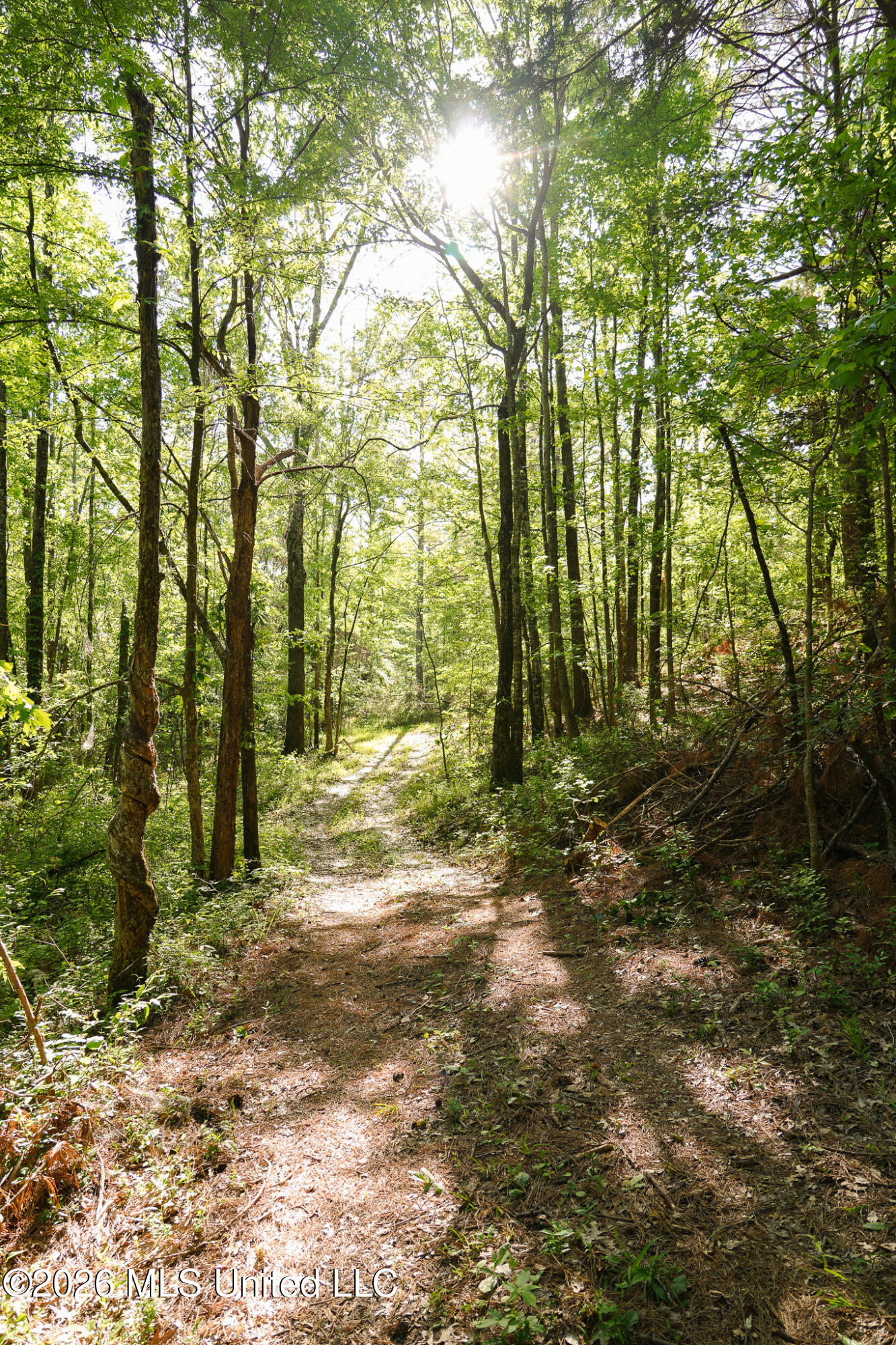 3295 Sand Hill Road Lexington, MS 39095 - Photo 51 of 70 41.