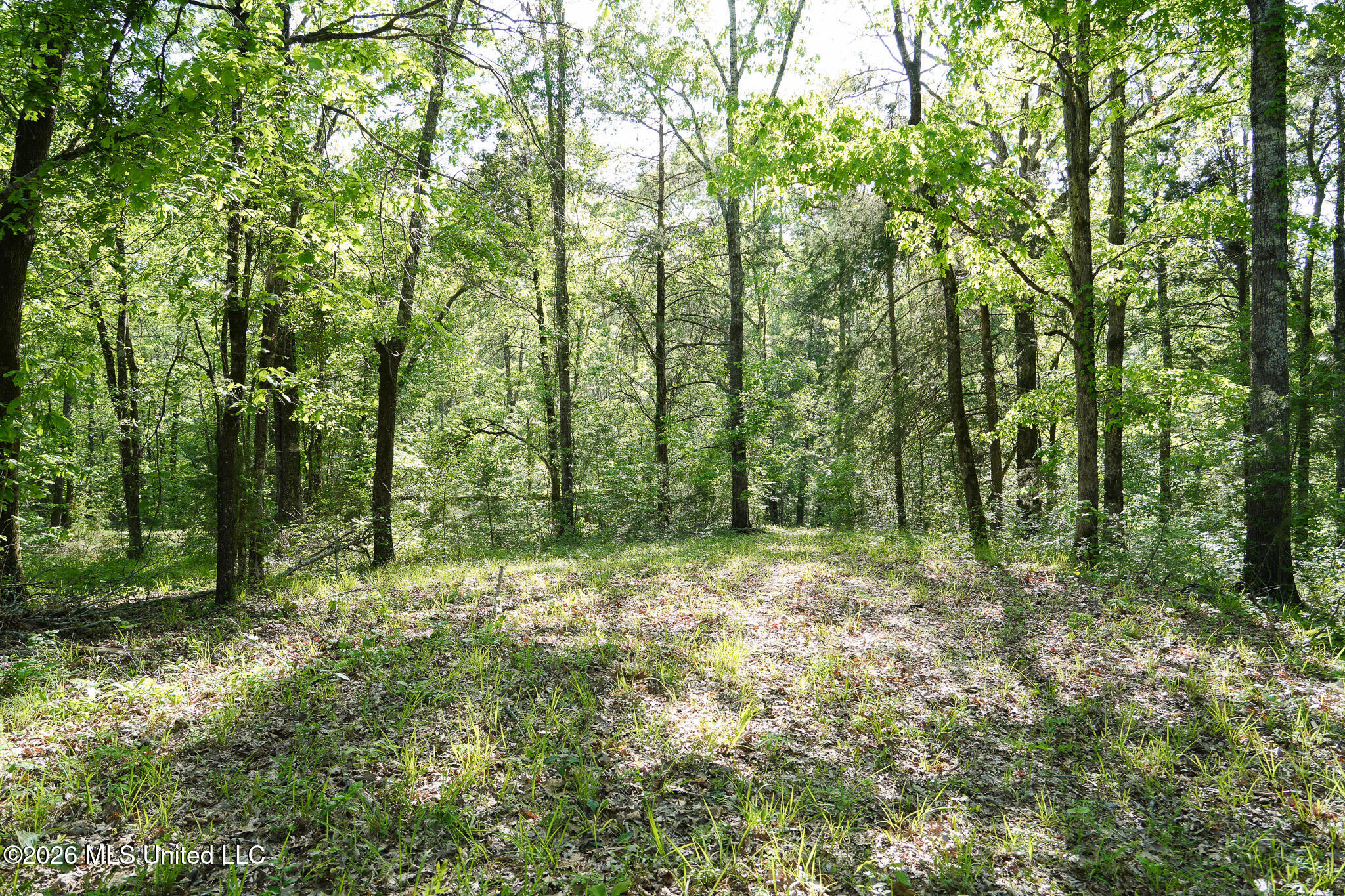 3295 Sand Hill Road Lexington, MS 39095 - Photo 52 of 70 42.