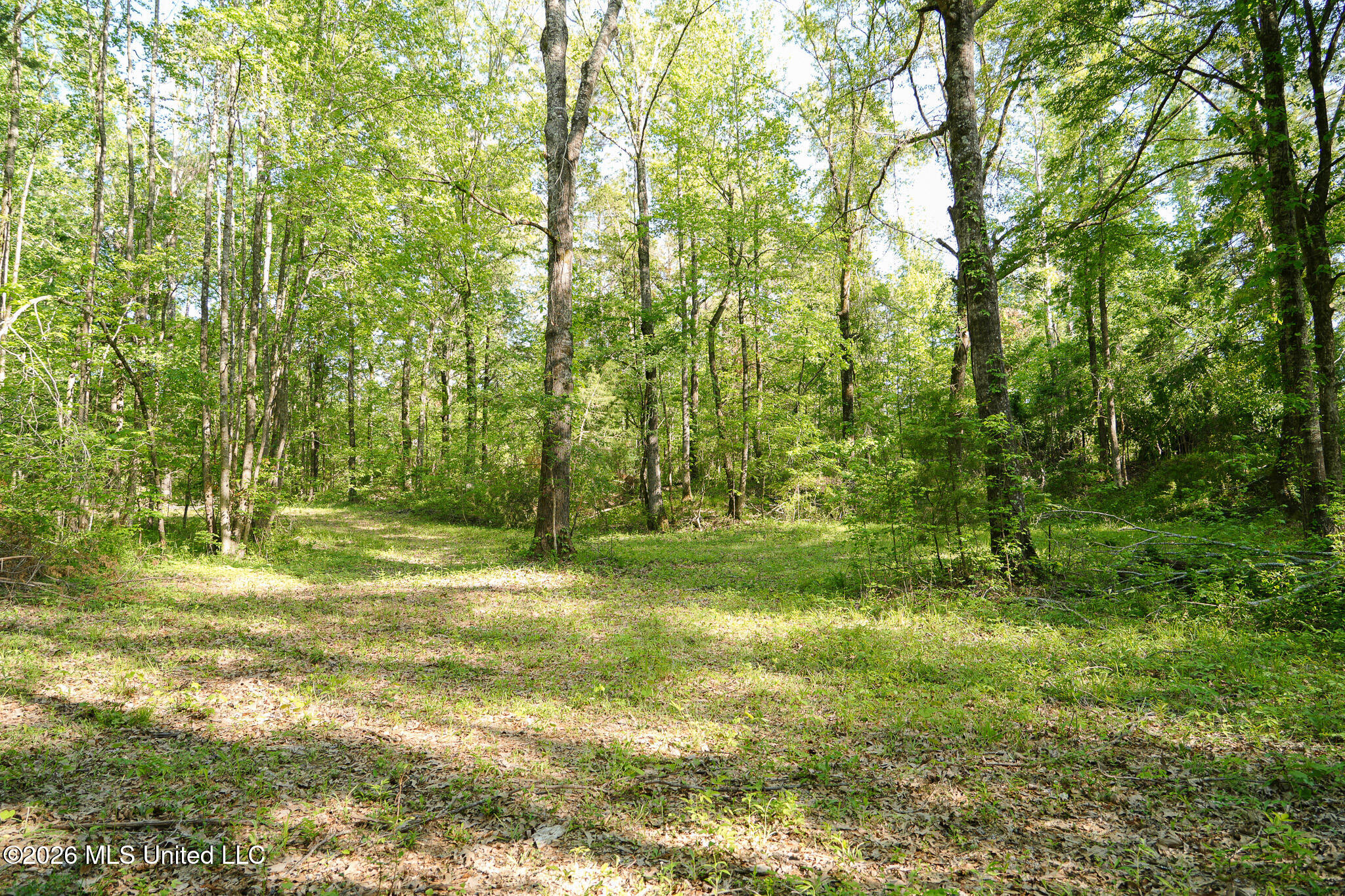 3295 Sand Hill Road Lexington, MS 39095 - Photo 53 of 70 43.