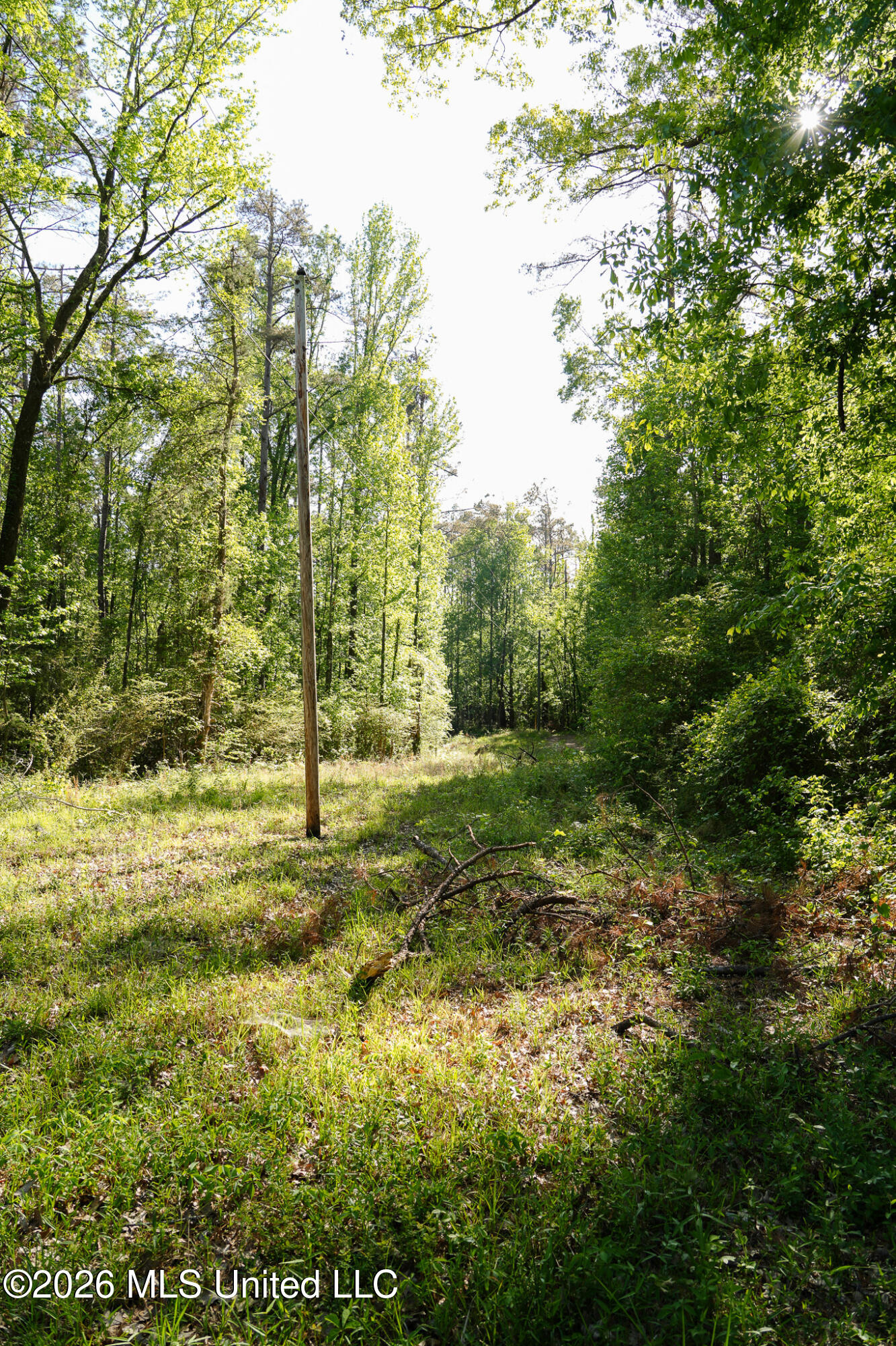 3295 Sand Hill Road Lexington, MS 39095 - Photo 54 of 70 44.