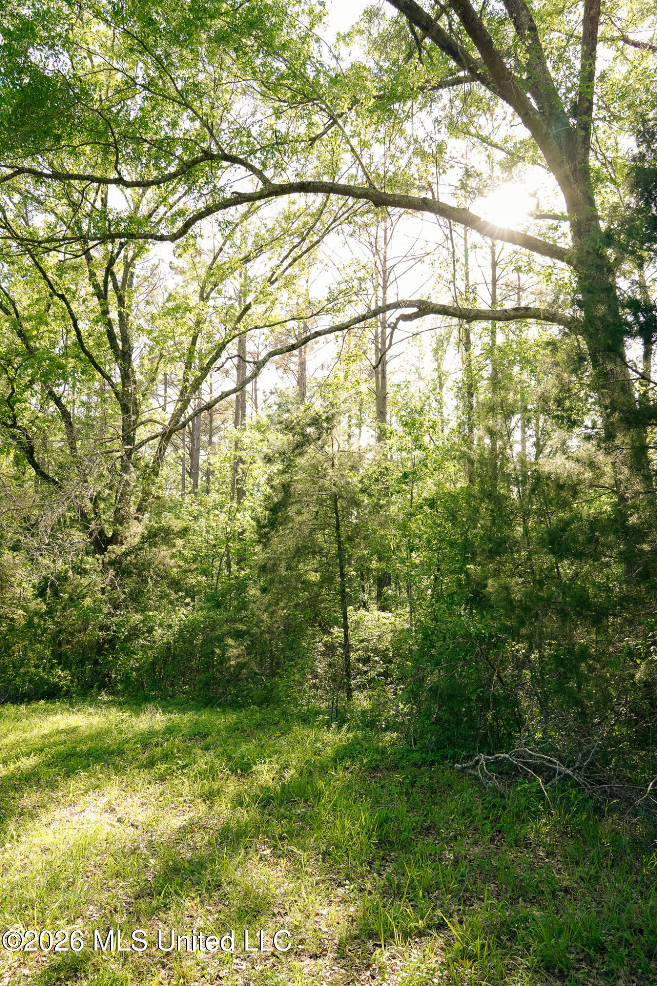 3295 Sand Hill Road Lexington, MS 39095 - Photo 55 of 70 45.