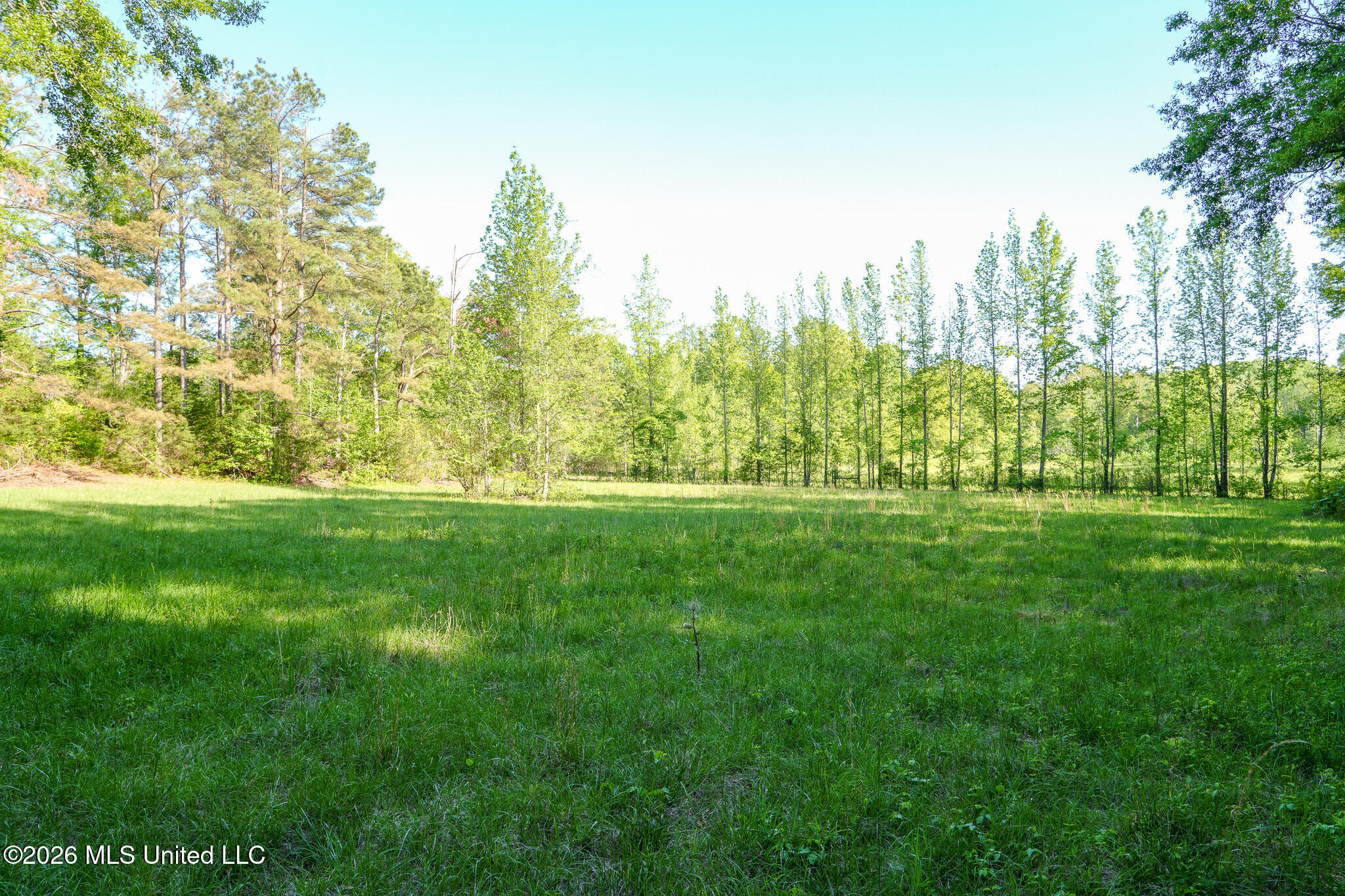 3295 Sand Hill Road Lexington, MS 39095 - Photo 56 of 70 46.