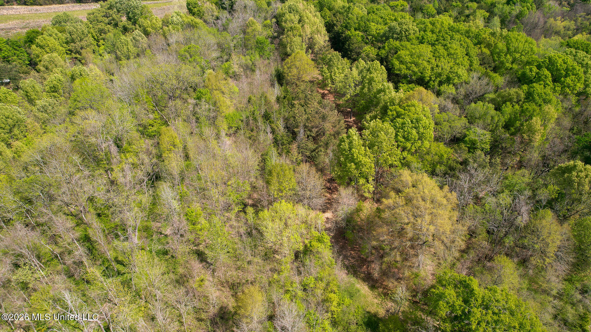 3295 Sand Hill Road Lexington, MS 39095 - Photo 57 of 70 50.