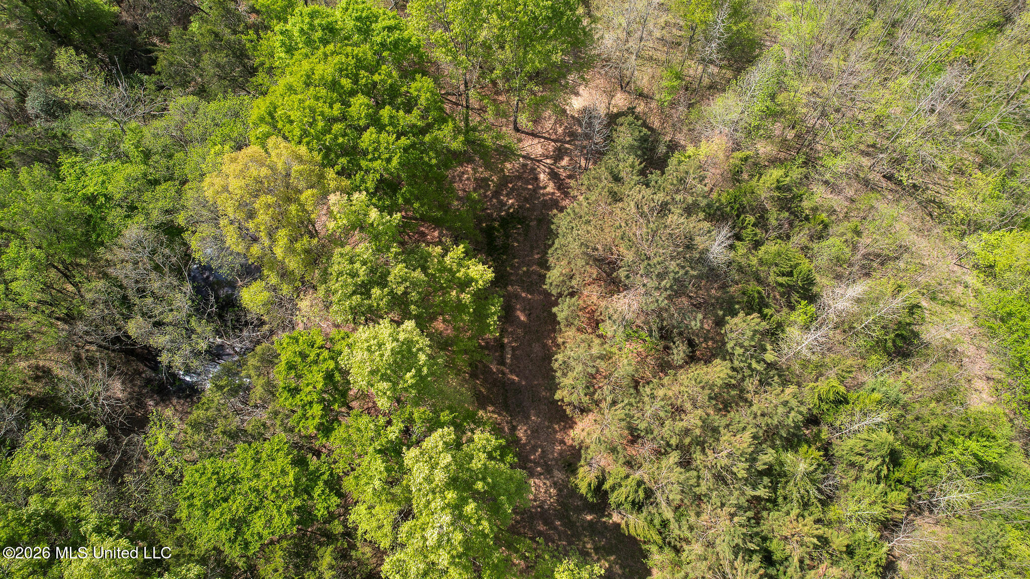 3295 Sand Hill Road Lexington, MS 39095 - Photo 58 of 70 51.
