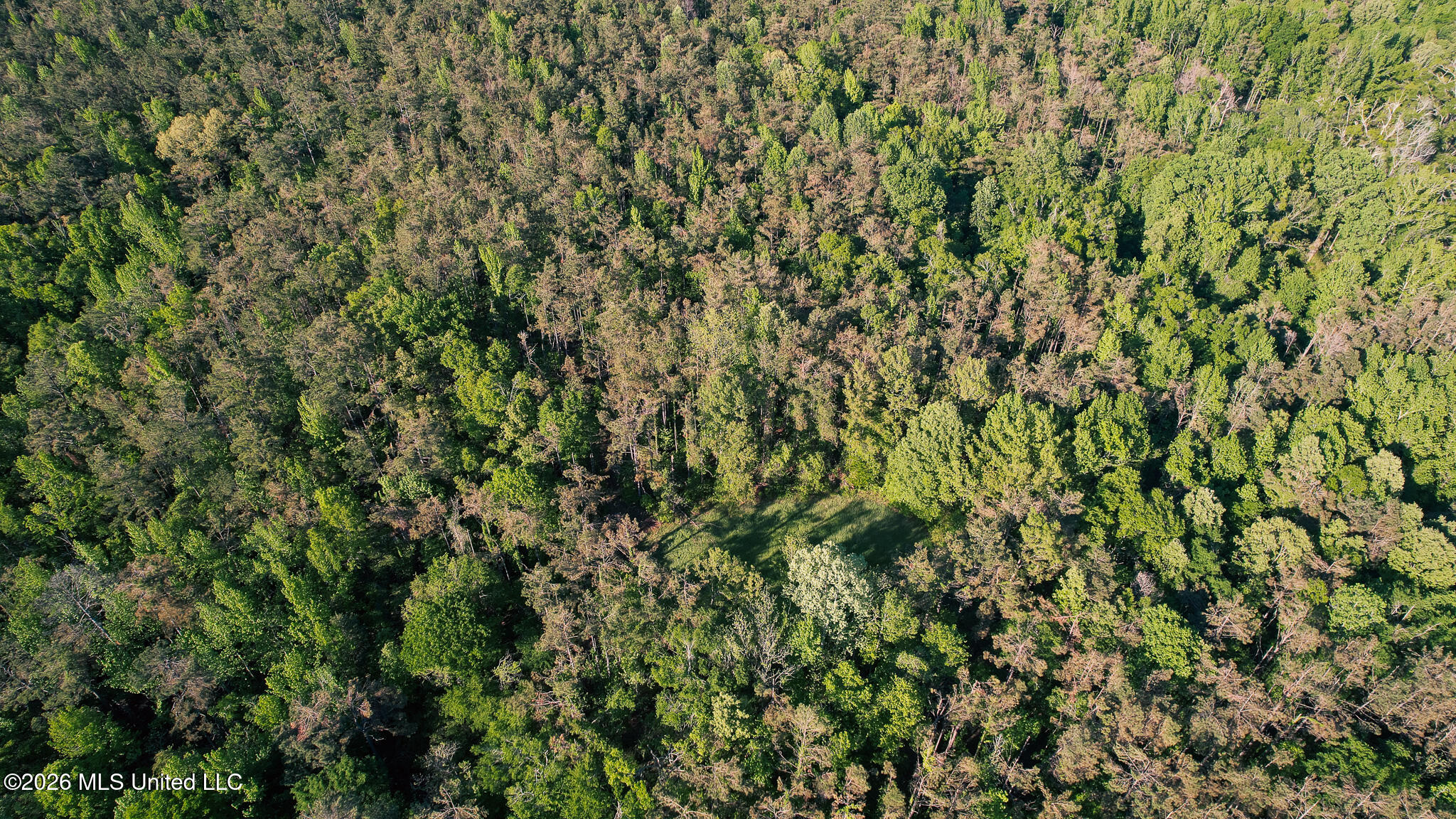 3295 Sand Hill Road Lexington, MS 39095 - Photo 64 of 70 57.