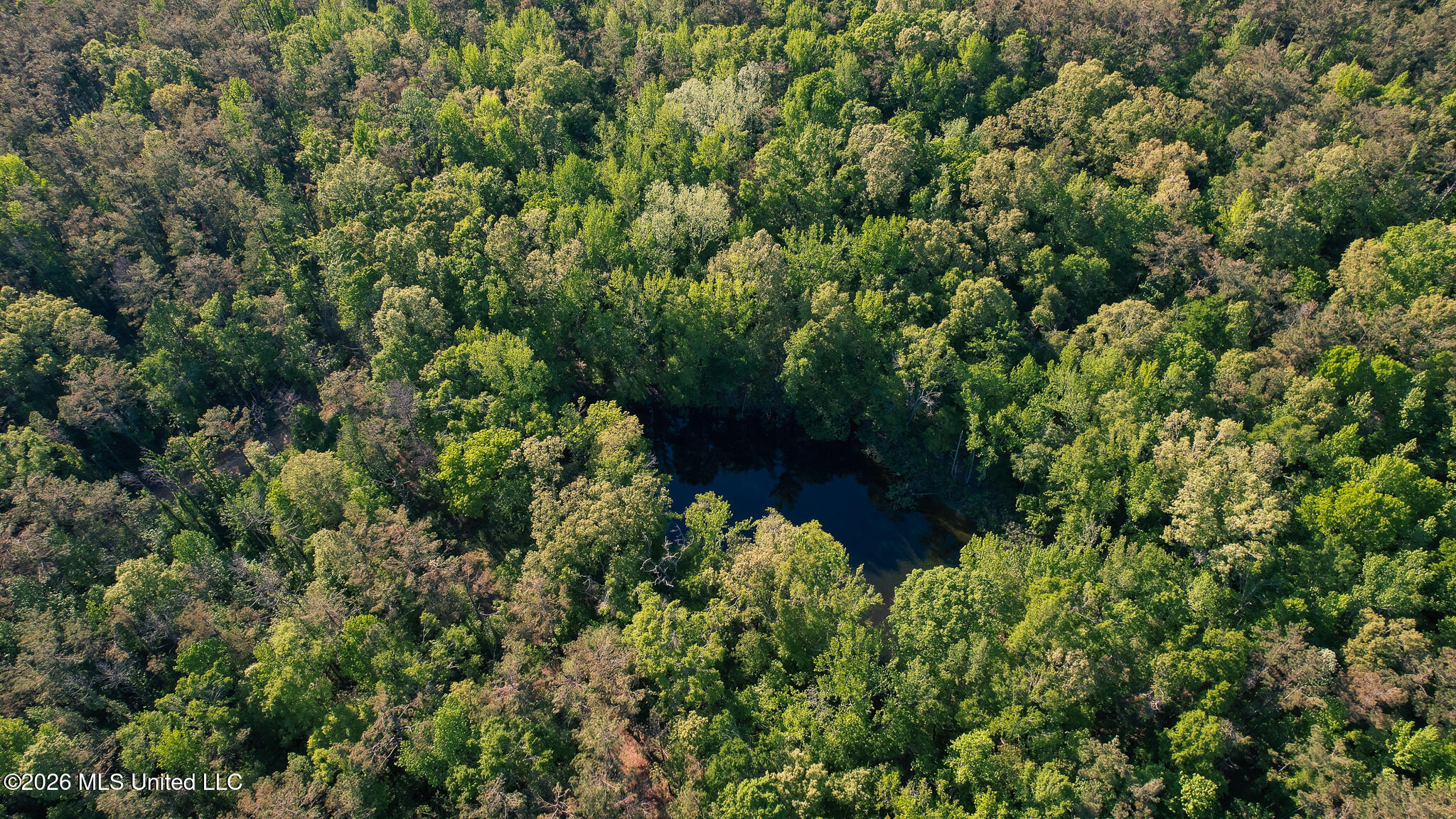 3295 Sand Hill Road Lexington, MS 39095 - Photo 65 of 70 58.