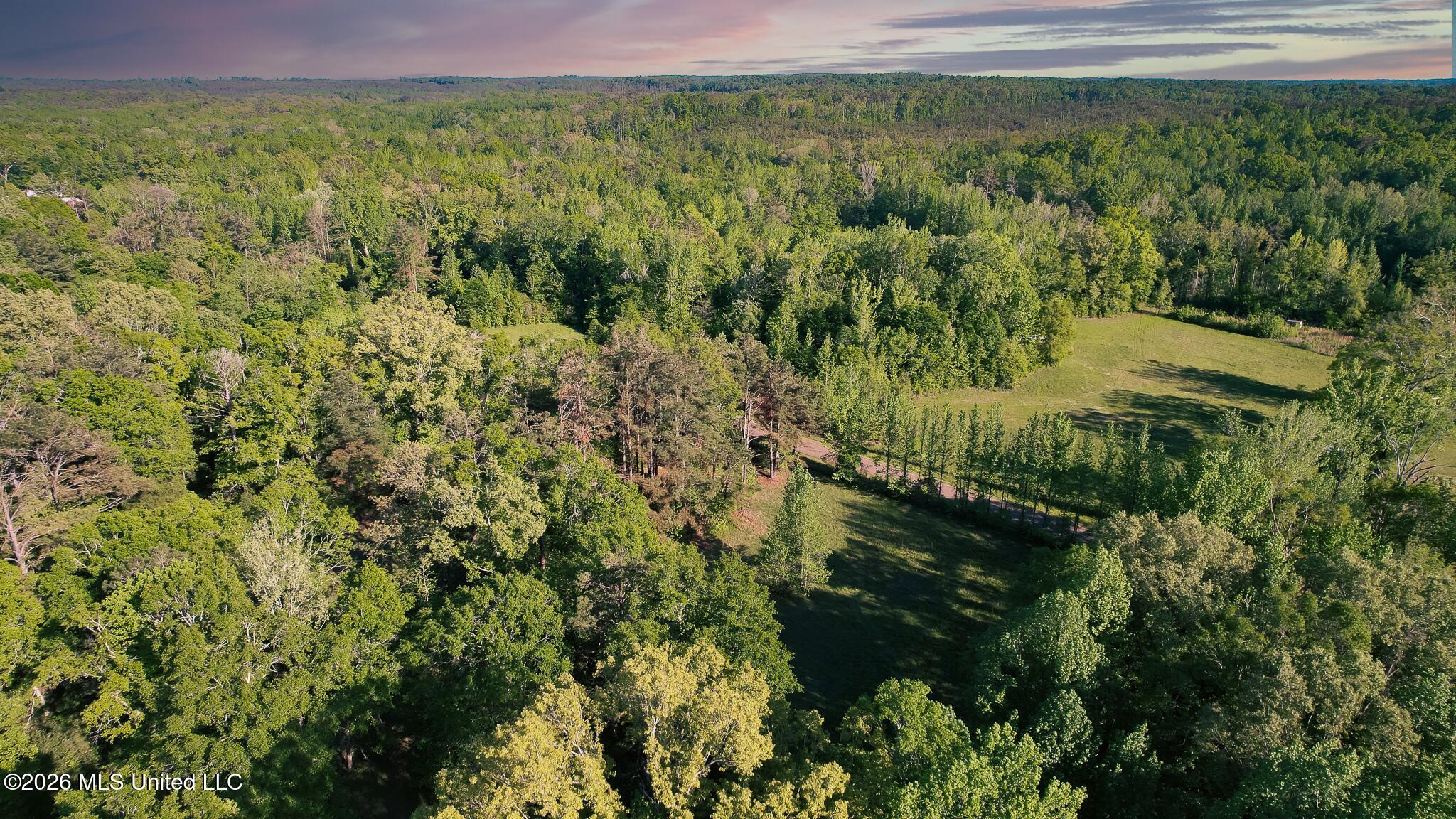 3295 Sand Hill Road Lexington, MS 39095 - Photo 66 of 70 59.