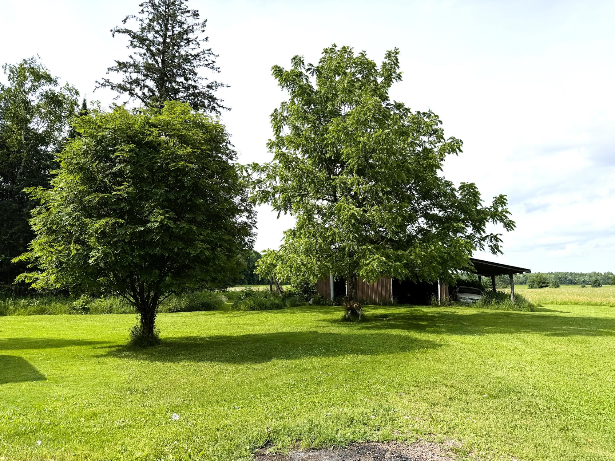 W11630 Cth Road Phillips, WI 54555 - Photo 20 of 28 Gallery Image 20