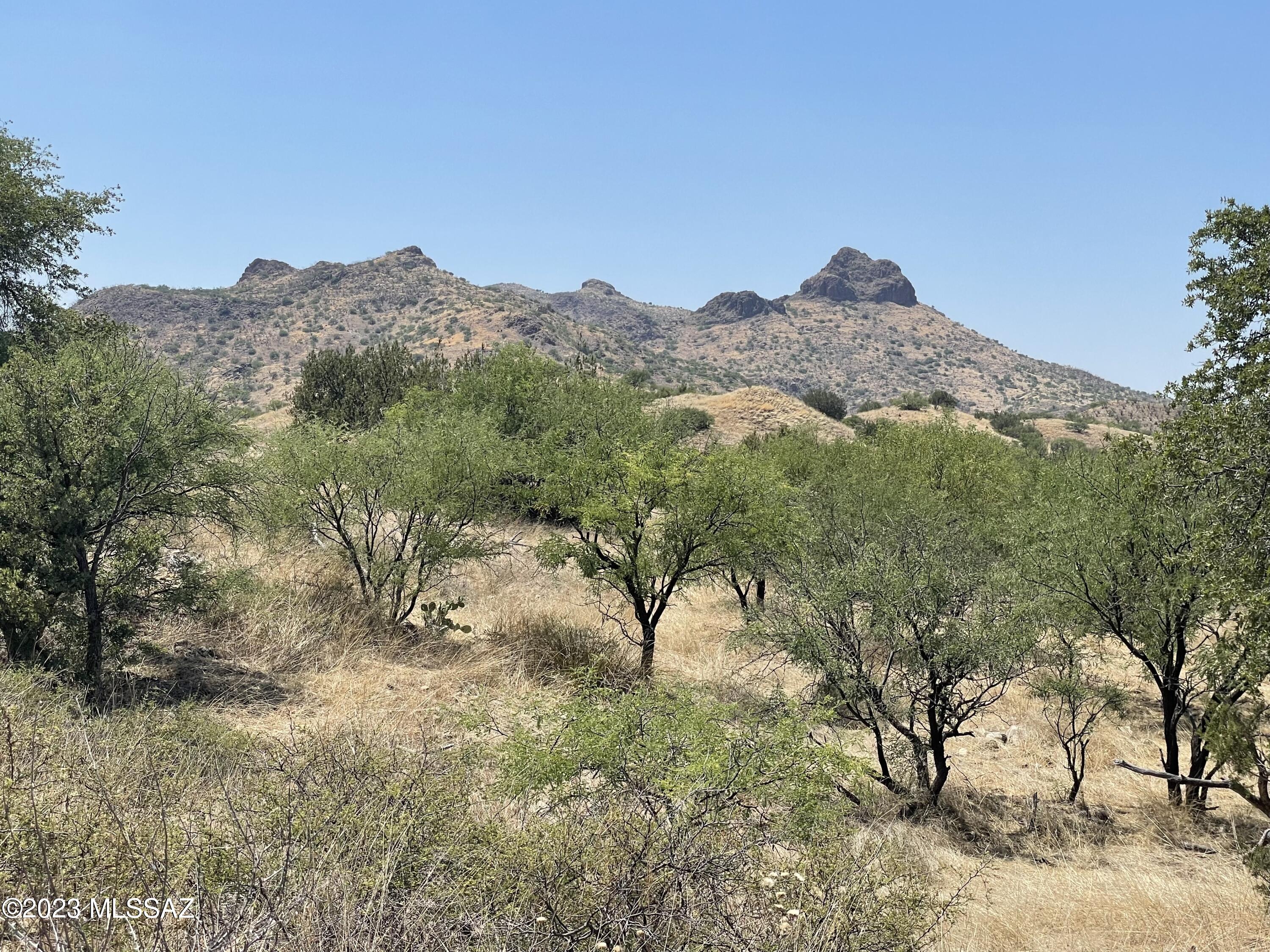 0 Montezuma Well Road, Unit 162 Rio Rico, AZ 85648 - Photo 1 of 26