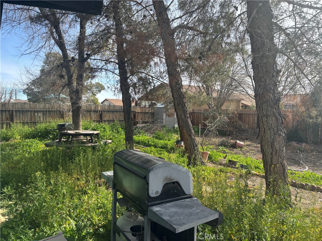 313 Mamie Street Ridgecrest, CA 93555 - Photo 28 of 33 Backyard