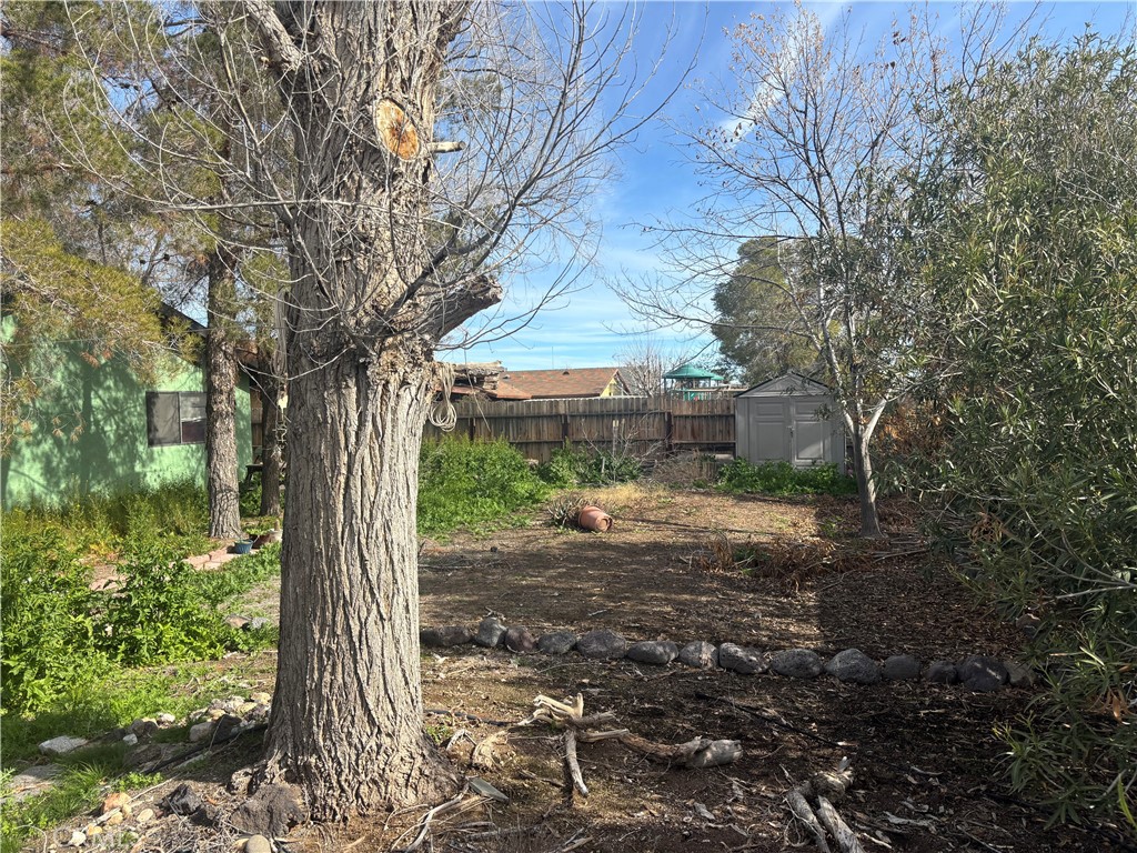 313 Mamie Street Ridgecrest, CA 93555 - Photo 32 of 33 Backyard
