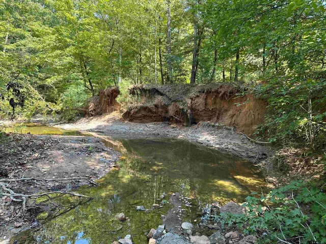 a view of a lake with trees