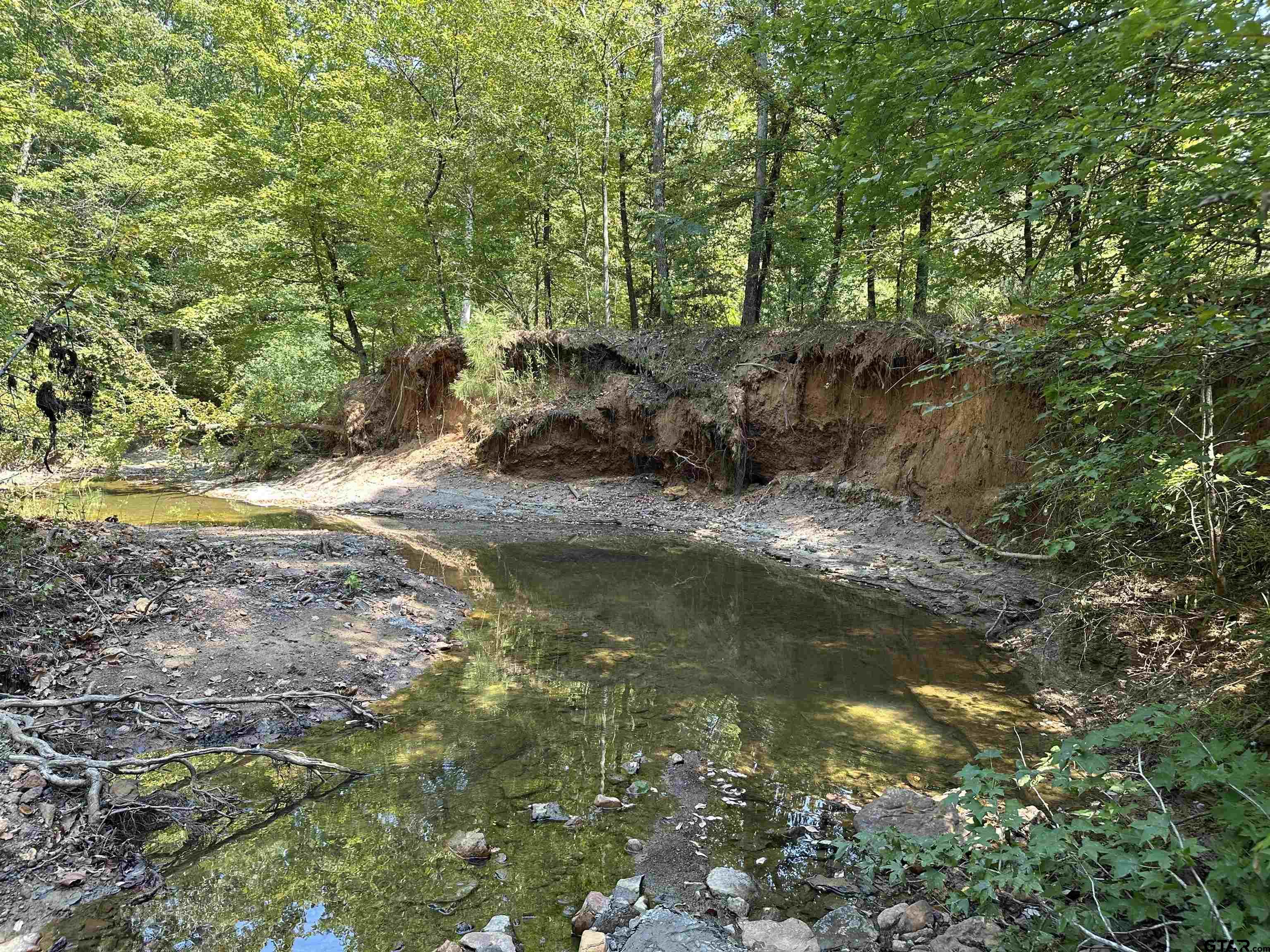 a view of a lake with trees