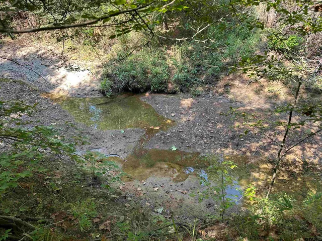 a view of a lake with a tree